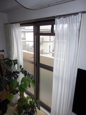 IMGP6517-e1752572752128